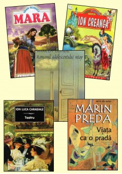 Pachet bibliografie cls a IX-a