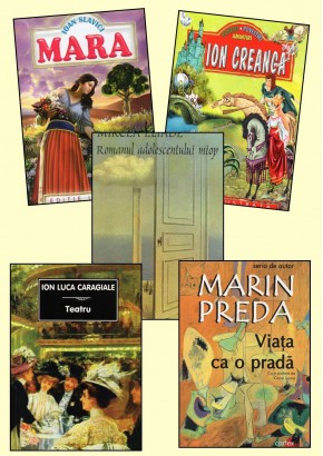 Pachet bibliografie cls a IX-a