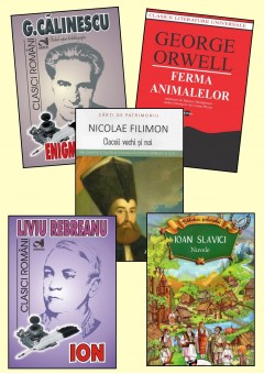 Pachet bibliografie cls a X-a