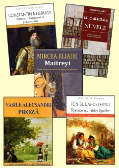 Pachet bibliografie cls a XI-a