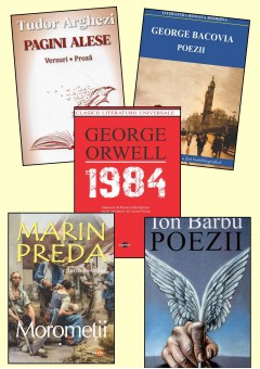 Pachet bibliografie cls a XII-a