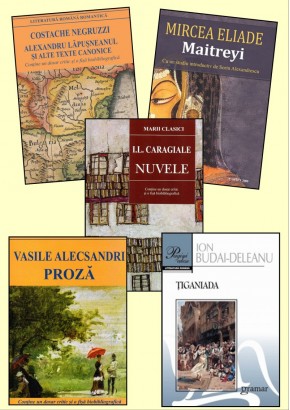 Pachet bibliografie cls a XI-a