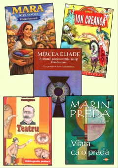 Pachet bibliografie cls ..