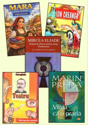 Pachet bibliografie cls a IX-a