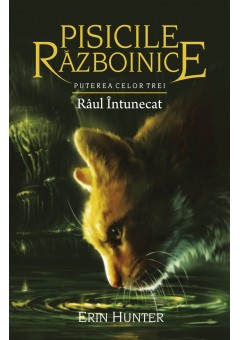 Pisicile Razboinice Raul intunecat