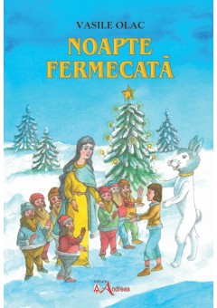 Noapte fermecata