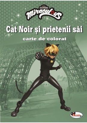 Cat noir si prietenii sai carte de colorat