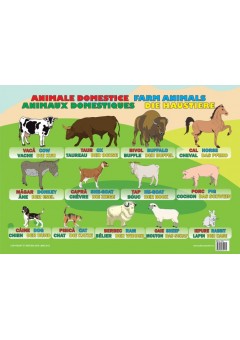 Animale Domestice (plans..