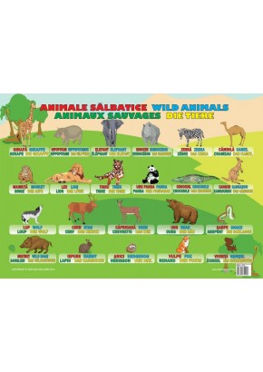 Animale Salbatice (plansa 50 x 70)