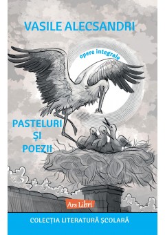 Pasteluri si poezii - Va..