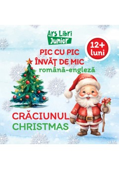 Pic cu pic invat de mic -  Craciunul