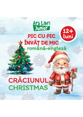 Pic cu pic invat de mic -  Craciunul
