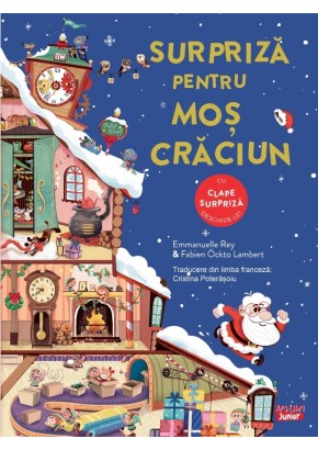 Surpriza pentru Mos Craciun Surpriza pentru Mos Craciun