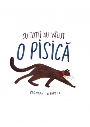 Cu totii au vazut o pisica