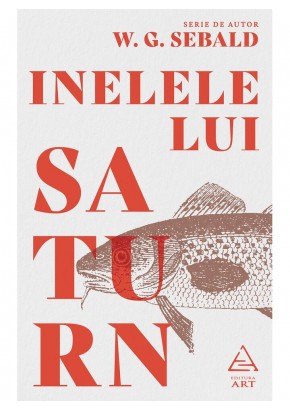 Inelele lui Saturn