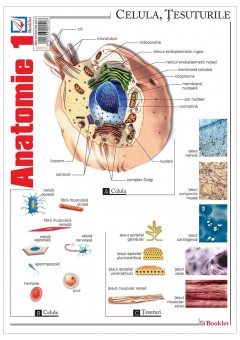 Pliant Anatomie 1..