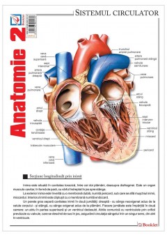 Pliant Anatomie 2..
