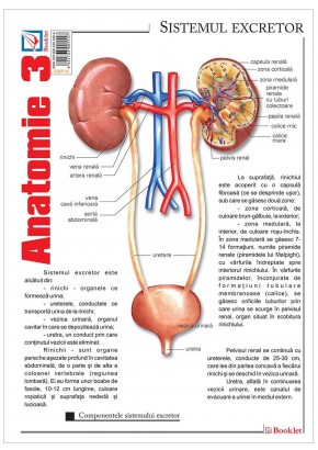 Pliant Anatomie 3