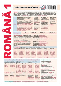 Pliant limba romana Morfologie 1