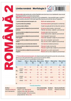 Pliant limba romana Morfologie 2