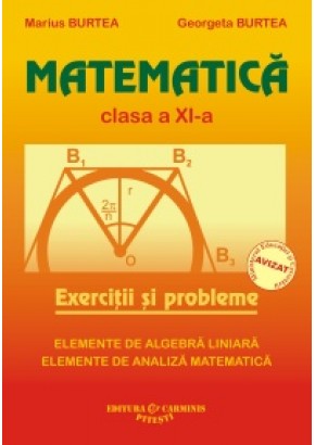 Matematica. Exercitii si probleme. Clasa a XI-a