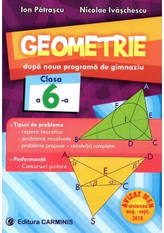 Geometrie. După noua programă de gimnaziu. Clasa a VI-a