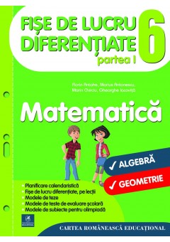 Fise de lucru diferentiate. Matematica. Clasa a VI-a partea I