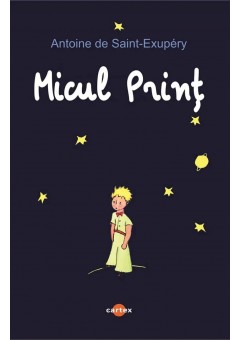 Micul Print