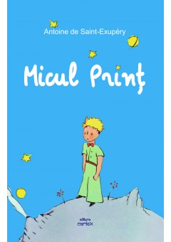 Micul print