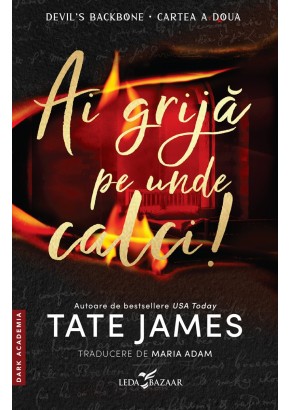 Ai grija pe unde calci! (a doua carte din seria „Devil’s Backbone”)