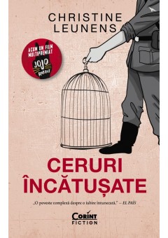 Ceruri incatusate