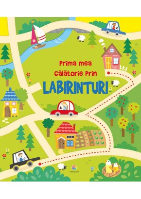 Prima mea calatorie prin labirinturi