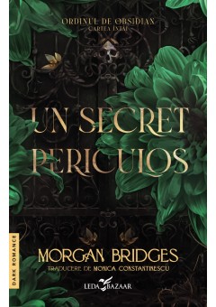 Un secret periculos (prima carte din serie „Ordinul de Obsidian”)