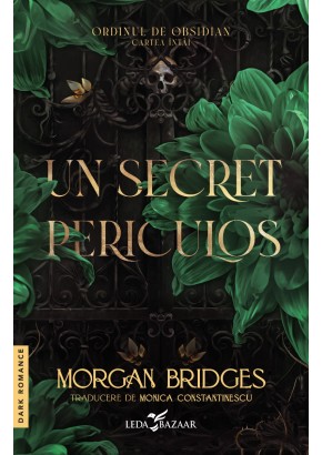 Un secret periculos (prima carte din serie „Ordinul de Obsidian”)