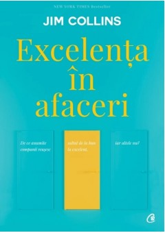 Excelenta in afaceri