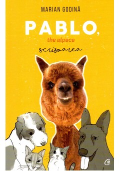 Pablo, the alpaca. Scris..