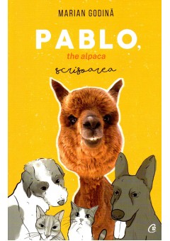 Pablo, the alpaca. Scrisoarea