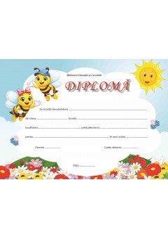 Diploma nivel primar albinute