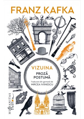 Vizuina, Proza postuma