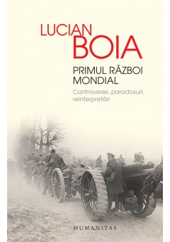 Primul Razboi Mondial, Controverse, paradoxuri, reinterpretari