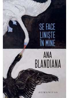 Se face liniste in mine