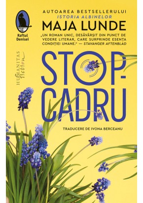 Stop-cadru