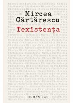 Texistenta - Despre scris
