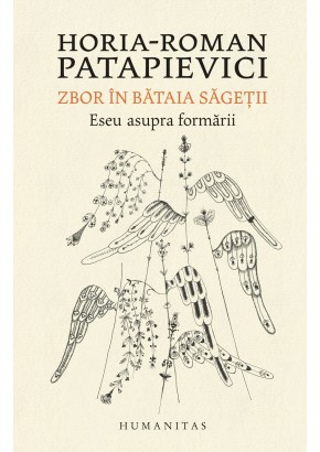 Zbor in bataia sagetii