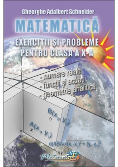 Matematica - exercitii si probleme pentru clasa a X-a