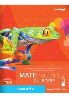 Culegere de matematica clasa a V-a 2025 vol 2