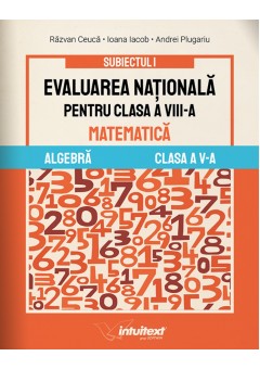 Evaluarea Nationala pentru clasa a VIII-a, Algebra, clasa a V-a