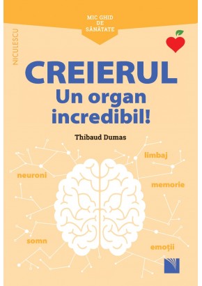 Mic ghid de sanatate: Creierul Un organ incredibil!