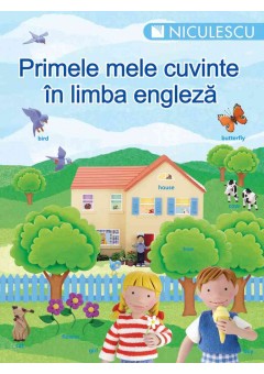 Primele mele cuvinte in limba engleza