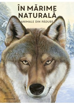 In marime naturala - Animale din padure